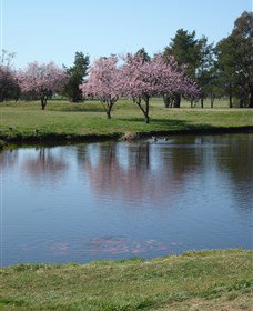 RMC Golf Club - Accommodation Batemans Bay 0