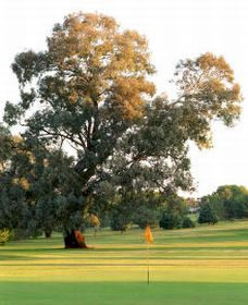 Cowra Golf Club - Accommodation Batemans Bay 0