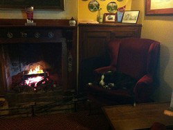 Royal Cricketers Arms - Accommodation Batemans Bay 2