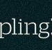 Dumpling Republic - Accommodation Batemans Bay