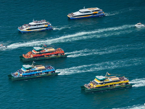 Australia Day Sydney Harbour Cruises - Accommodation Batemans Bay 1