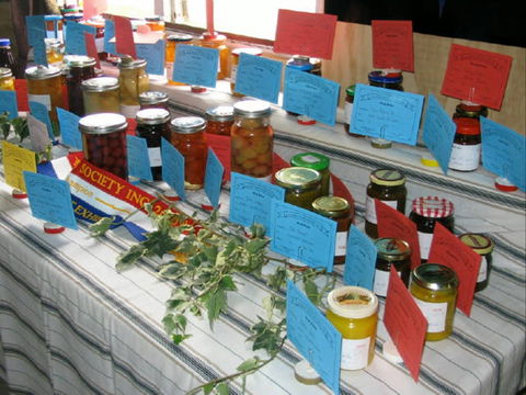 Dalgety Show - Accommodation Batemans Bay 1