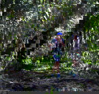 Elephant Trail Race - Accommodation Batemans Bay