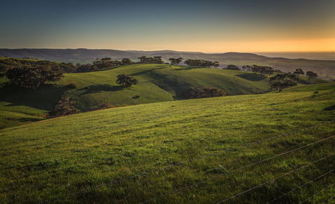 Festival Of Nature - Accommodation Batemans Bay 1