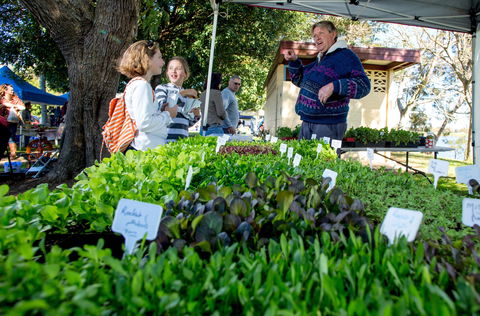 Gladstone Quality Markets - Accommodation Batemans Bay 2