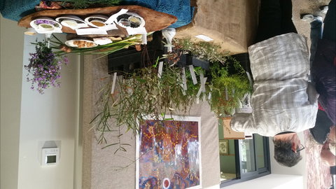 Grampians Wildflower Show - Accommodation Batemans Bay 1