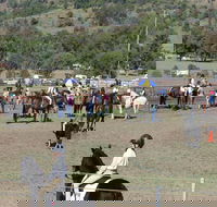 Gresford Agricultural Show - Accommodation Batemans Bay