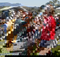 Lovedale Long Lunch - Accommodation Batemans Bay