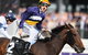 Melbourne Cup Carnival - thumb 2