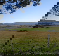 Milton Village Showground Markets - Accommodation Batemans Bay