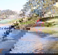 Mountain Man Tri Challenge - Accommodation Batemans Bay