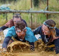 Suck It Up Buttercup Vikings Obstacle Course - Accommodation Batemans Bay