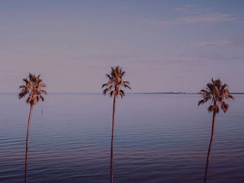 Sunset Streaming Live DJ Streams - Accommodation Batemans Bay 0