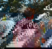 The Big Picture Fest Newcastle - Accommodation Batemans Bay