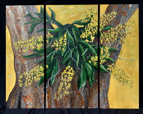 A Still Life - Solo Exhibition  Karen Sedaitis - Accommodation Batemans Bay 1