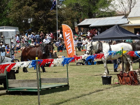 Carcoar Show - Accommodation Batemans Bay 0