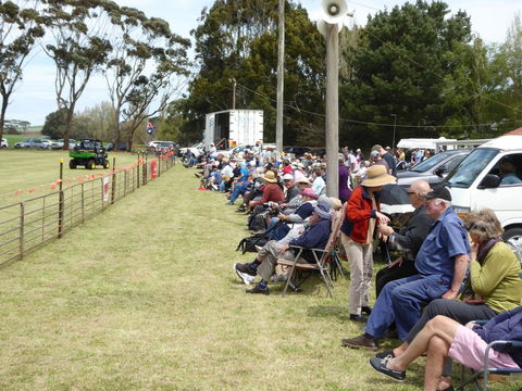 Dean Sheepdog Trials - Old Sniff Classic - Accommodation Batemans Bay 1