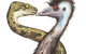 Edward The Emu - thumb 0