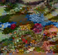 Glenrock Gardens Open Garden - Accommodation Batemans Bay