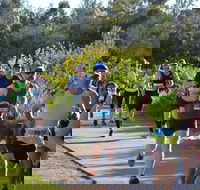 Husky Half Running Festival - Accommodation Batemans Bay