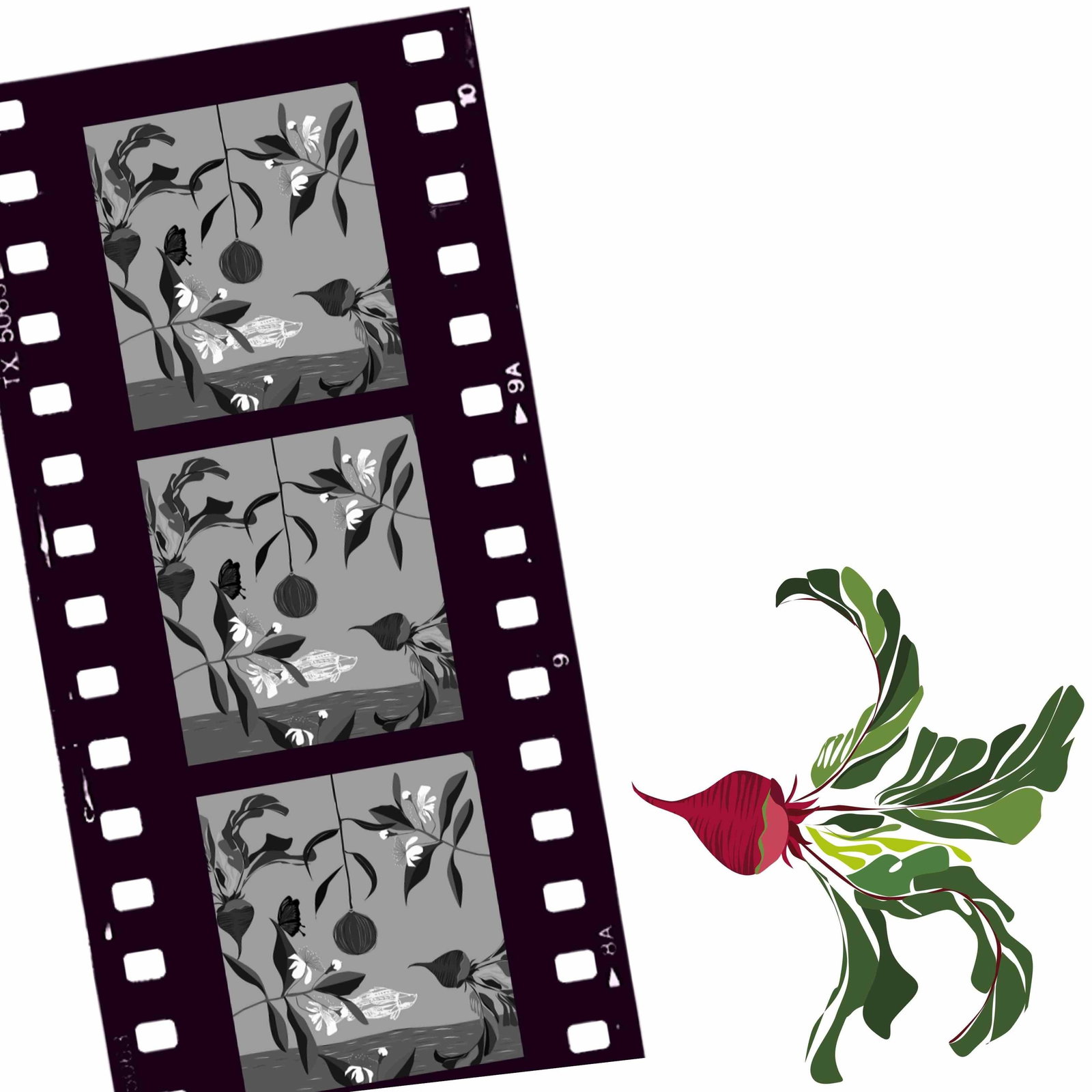 Cairns North QLD Accommodation Batemans Bay