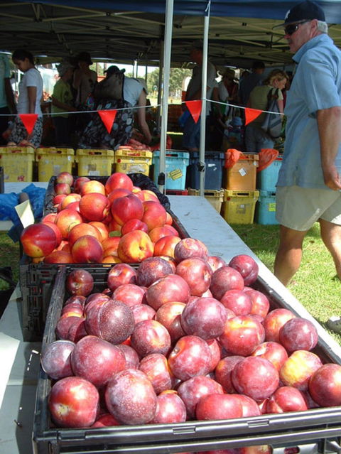 The Farmers Market On Manning - Accommodation Batemans Bay 0