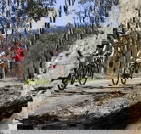 Wollombi Wild Ride Mountain Bike Ride