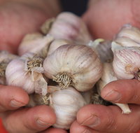 Armidale Farmers' Market - Accommodation Batemans Bay