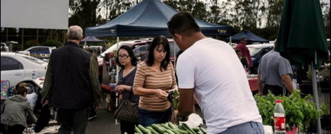 Blacktown Markets - Accommodation Batemans Bay 0