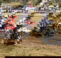 Dust Hustle Queensland Moto Park - Accommodation Batemans Bay