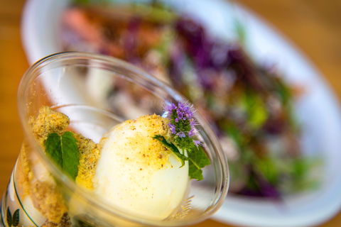 Festivale - Accommodation Batemans Bay 2