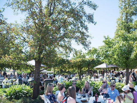 Griffith Vintage Festival - Accommodation Batemans Bay 2