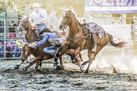 Gundagai Rodeo - Accommodation Batemans Bay 0