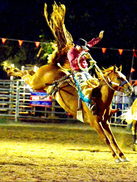 Gundagai Rodeo - Accommodation Batemans Bay 1