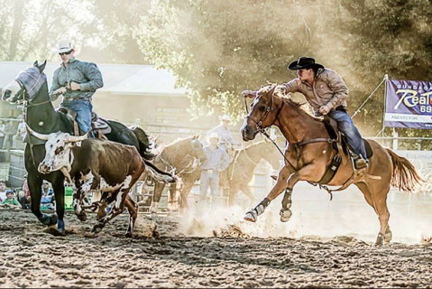 Gundagai Rodeo - Accommodation Batemans Bay 2