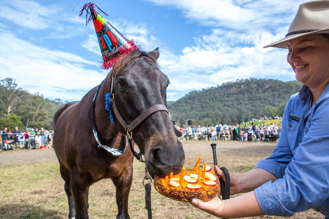 Horses Birthday Festival - Accommodation Batemans Bay 0
