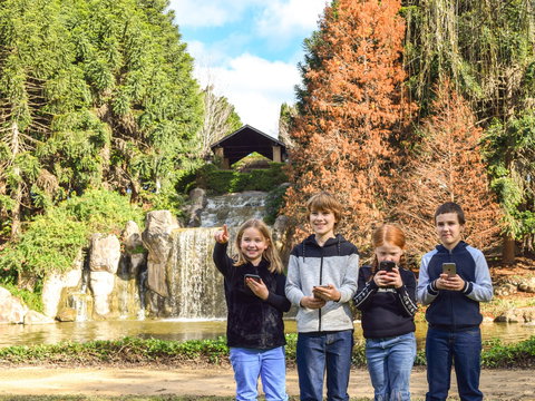 Hunter Valley Gardens Virtual Treasure Trail - Accommodation Batemans Bay 1