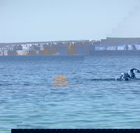 Jervis Bay's Sydney to Hobart Experience - Accommodation Batemans Bay