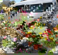 Johns River Country Markets - Accommodation Batemans Bay