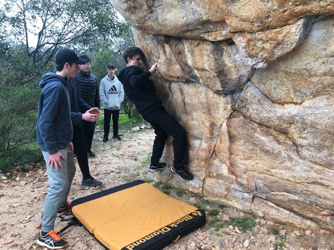 July 2020 Holidays- Forest Adventures Treasure Hunt - Accommodation Batemans Bay 1