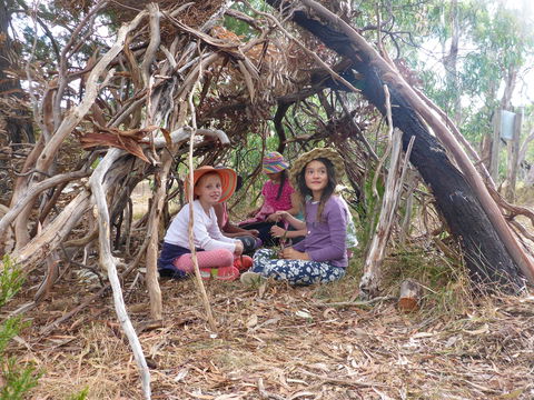 July 2020 Holidays- Forest Adventures Treasure Hunt - Accommodation Batemans Bay 2