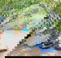 Jungle Love Festival - Accommodation Batemans Bay