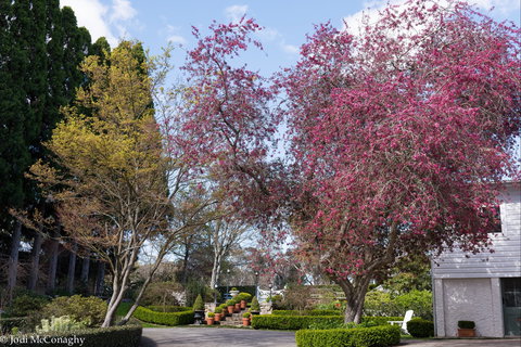 Leura Gardens Festival - Cancelled - Accommodation Batemans Bay 0