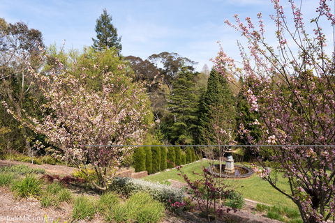 Leura Gardens Festival - Cancelled - Accommodation Batemans Bay 2