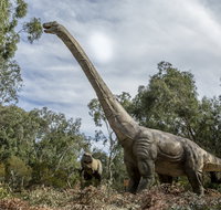 Lost Sanctuary at Healesville Sanctuary - Accommodation Batemans Bay