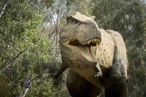 Lost Sanctuary At Healesville Sanctuary - Accommodation Batemans Bay 2