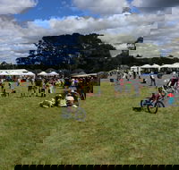 Majors Creek Festival - Accommodation Batemans Bay