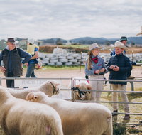 Mudgee Small Farm Field Days - Accommodation Batemans Bay