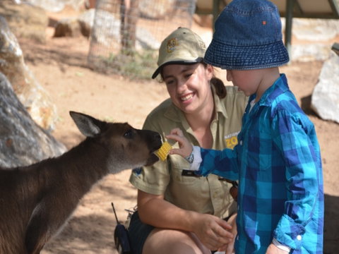 Mums And Cubs! And Dads Too! - Accommodation Batemans Bay 0