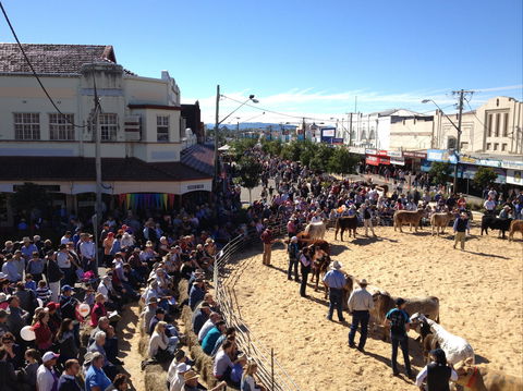 NCMC Casino Beef Week - Accommodation Batemans Bay 0